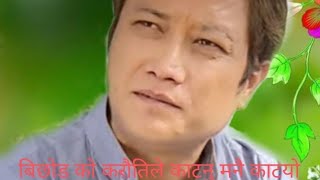 Download lagu Bichod ko karautile cover status/Dhangorya status channel 🤭🙏 mp3