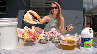 How to Clean Shells with Muriatic Acid!