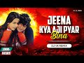 Jeena Kya Aji Pyar Bina Remix Dj Vk Remix Dhamal Mix जीना क्या अजी प्य�