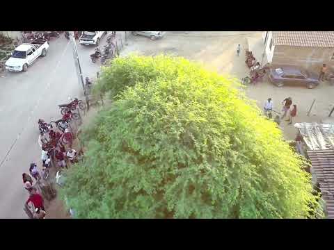Desafio do boi laranjinha pov maravilha Itaguaçu Bahia 