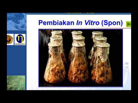 , title : 'Paparan Biopestisida AMPUH Produk Lokal Nematoda entomopatogen (NEP)'