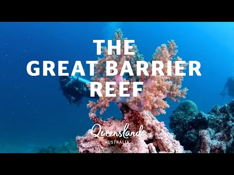Everything you need to know about the Great Barrier Reef