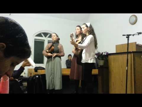 Tu ne-ai adus iubirea