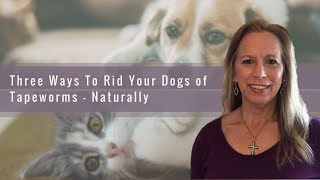 Three Ways To Rid Your Dog of Tapeworms - Naturally