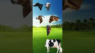 Download lagu https://youtube.com/shorts/FfLzXgOCyVQ?si=xTnZIS5rDC_Gzg61 mp3