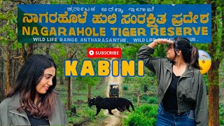KABINI forest safari 🐯🦁ಕಬಿನಿ ಅರಣ್ಯ ಸಫಾರಿ| complete guide | time | 💰booking | ಕನ್ನಡ