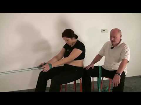 Prezentarea teoriei SPS