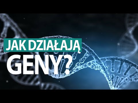 Jak działa człowiek? #GENY (tłumaczenie PJM)