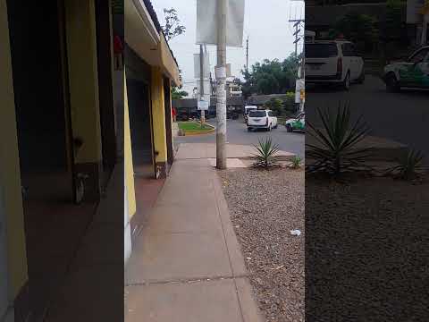 Tren que transporta minerales al callao pasando por ate.* el saqueo es diario..!