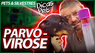 Miniatura do vídeo
