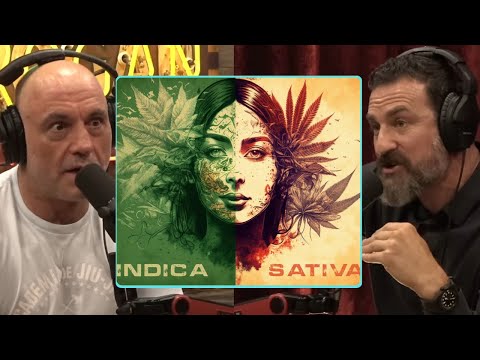 Canibus Biology Expert Says There Is No Difference Between Sativa & Indica Strains | Joe Rogan