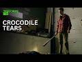 He Cried For His Missing Wife on TV | Homicide: Hours To Kill