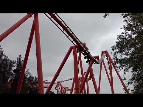Tatsu short video by Mashed Tomatoes