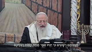 כמה טוב החום הזה! | הרב שמואל אליהו | הלכה יומית | י״ט אב תשפ״ה (הרב שמואל אליהו) - התמונה מוצגת ישירות מתוך אתר האינטרנט יוטיוב. זכויות היוצרים בתמונה שייכות ליוצרה. קישור קרדיט למקור התוכן נמצא בתוך דף הסרטון