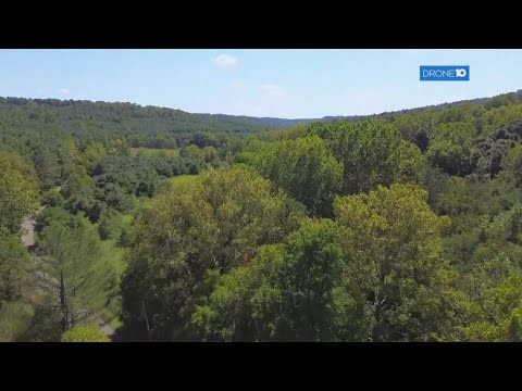 Joy Valley Nature Preserve: A new Ohio landmark protects ancient forests and rare biodiversity