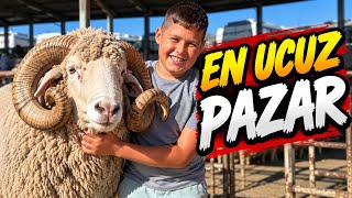 Türkiye’nin En Ucuz Hayvan Pazarı! 🐏 Fiyatları Gören Şaşırıyor!