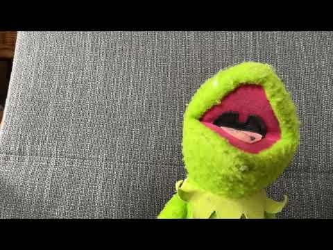 Kermit gets eyes