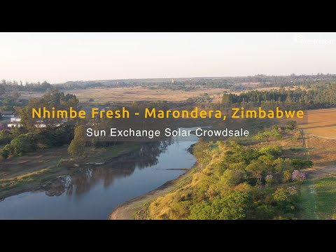 Image for YouTube video with title Sun Exchange Solar Crowdsale - Nhimbe Fresh - Marondera, Zimbabwe viewable on the following URL https://youtu.be/DOYShT81XMw