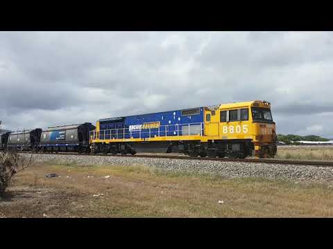 Video Bites - PN's 8803 and 8805 meet at Yenoor, November 4th, 2019