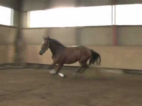 Comte-Graf Sponeck komplett.wmv