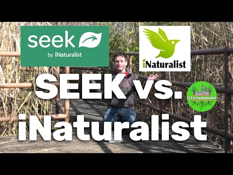 SEEK vs. iNaturalist