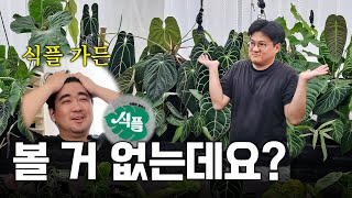 대신 살 게 많음???? ㅣ 지금 당장 달려가세요????‍♂️ ㅣ식플 가든 개방 행사 다녀왔습니다