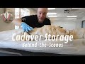 Behind-the-Scenes Look at How Human Cadavers Are Stored | Normally a Patreon Exclusive