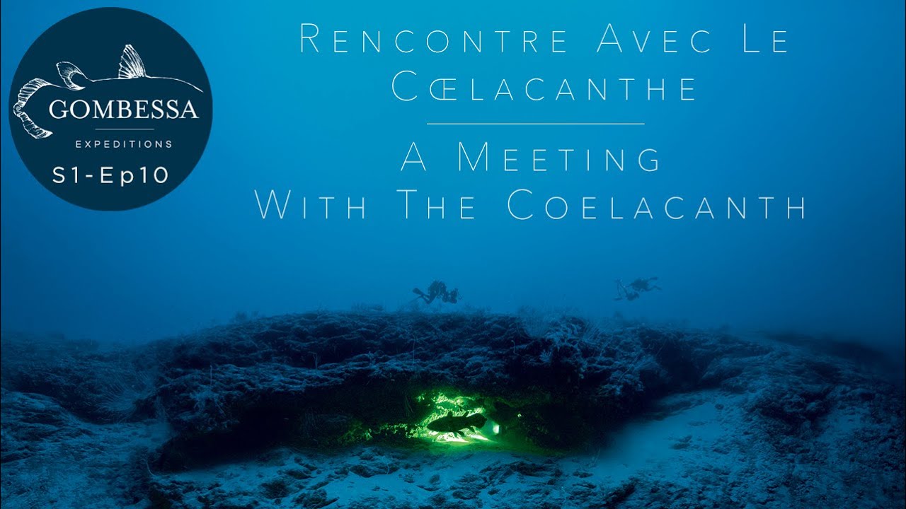 Gombessa I - Rencontre avec le Coelacanthe - Ep10