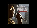 Junior Wells - Best Of The Vanguard Years - 14 - Look How Baby