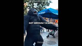 Download lagu Nobody Expected the Gorilla to Stand Up! 😂🦍 #usa mp3