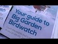 RSPB Big Garden Birdwatch 2015 - YouTube