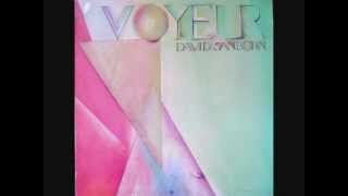 David Sanborn - Run for cover