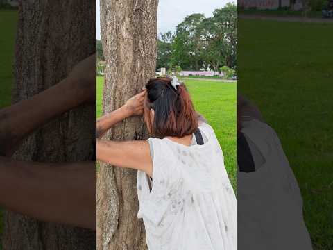 where are they hiding ?