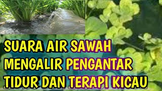 Download lagu TERAPI AIR || SUARA GEMERICIK AIR MENGALIR MENGOBATI BURUNG STRES DAN MACET BUNYI  @bang bhulux mp3