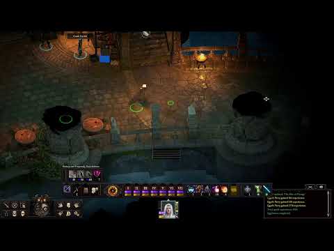 Pillars Of Eternity Deadfire - Psion-Troubadour 020 Ultimate-like test run