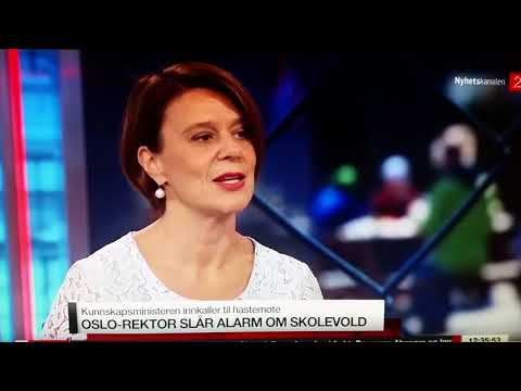 Problemer på Stovnerskole