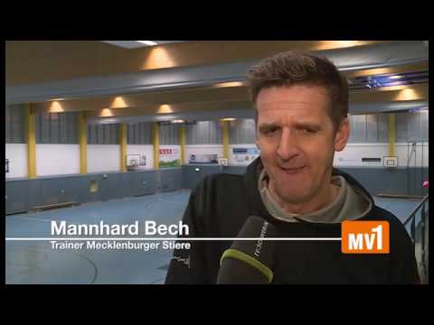 Neuer Trainer bei den Mecklenburger Stieren