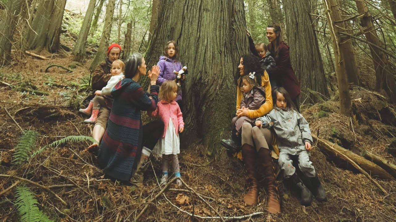 ARISE for the Ancient Forests | Save Fairy Creek