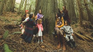 ARISE for the Ancient Forests | Save Fairy Creek