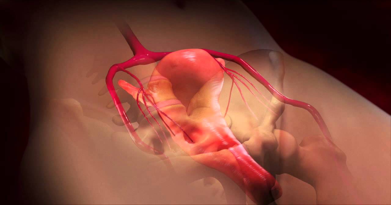 Francesco Colucci-20