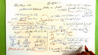 240 ★  بين المحلية والحالِّيَّة image