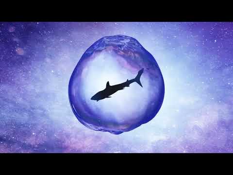 This reef has teeth-Martello Tower Project