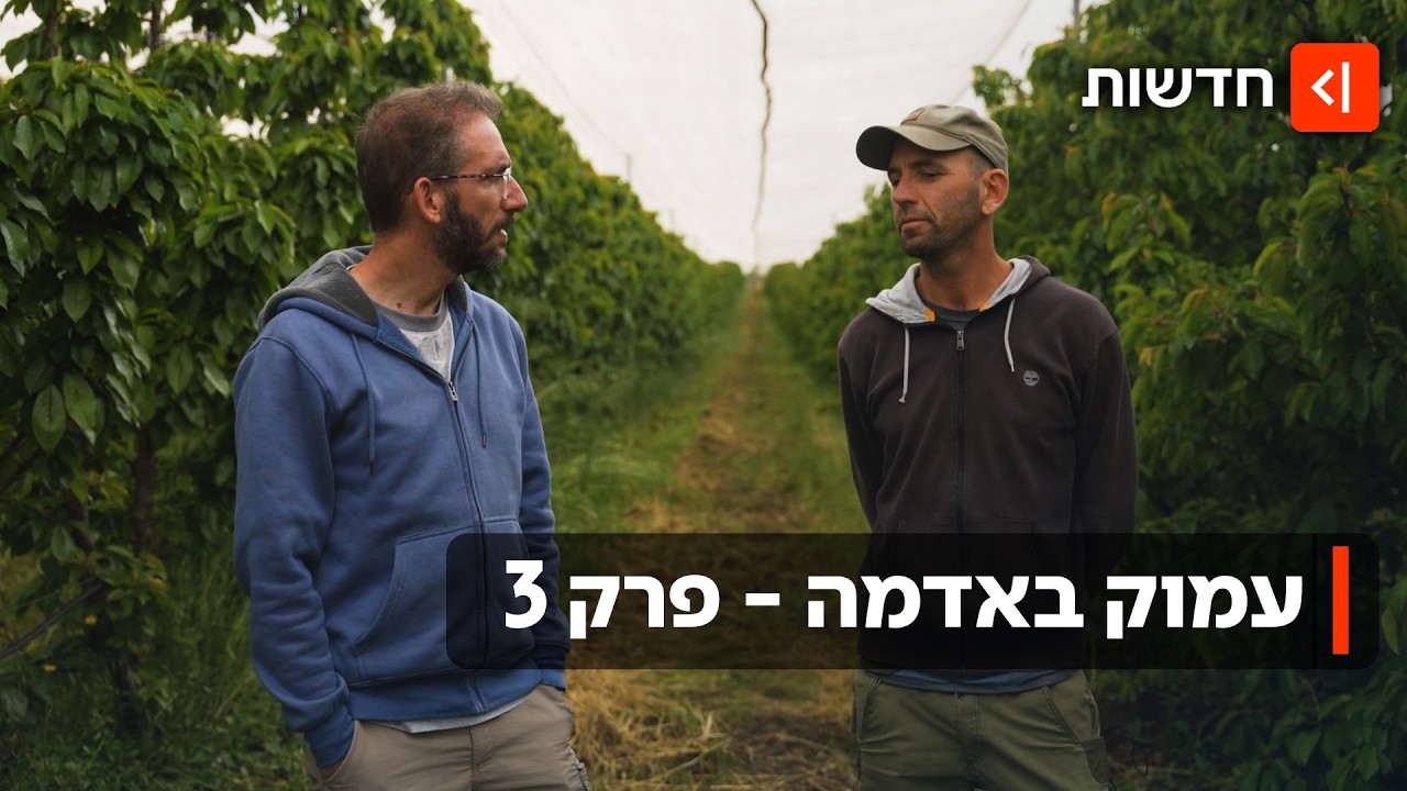 בגלל משבר האקלים: גידול המזון נמצא תחת איום - והחקלאים מחפשים פתרונות