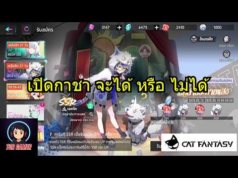 Cat Fantasy เปิดกาชา "เอคโค: นักล่าประกายแสง” จะได้หรือไม่ได้ #torgamer #bonfire #bonfiregathering