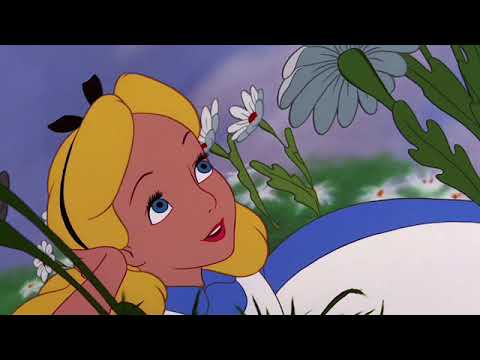 Pressure MAXWELL - HINT FREESTYLE (Prod. NextLane)