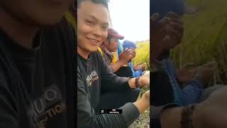 Download lagu Cara memimpin doa untuk yang gak hafal doa😅 mp3