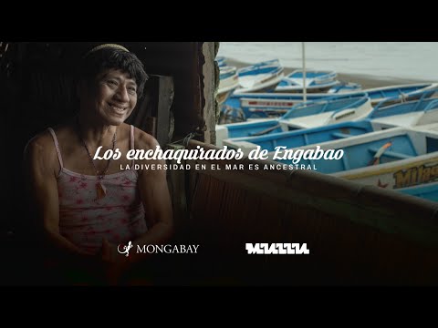Los Enchaquirados de Engabao documentary