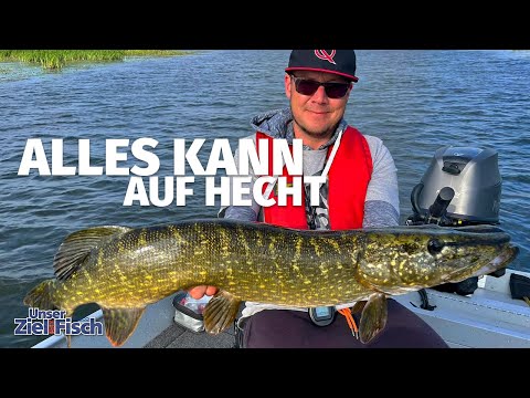 PIKE in LATE SUMMER - WHICH BAITS ARE WORKING TODAY? Our goal is fish with JÖRG OVENS