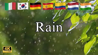 Relaxing Rain from 10+ Countries | Global Rain Sounds in 4K