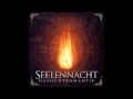Seelennacht - Back To Life 